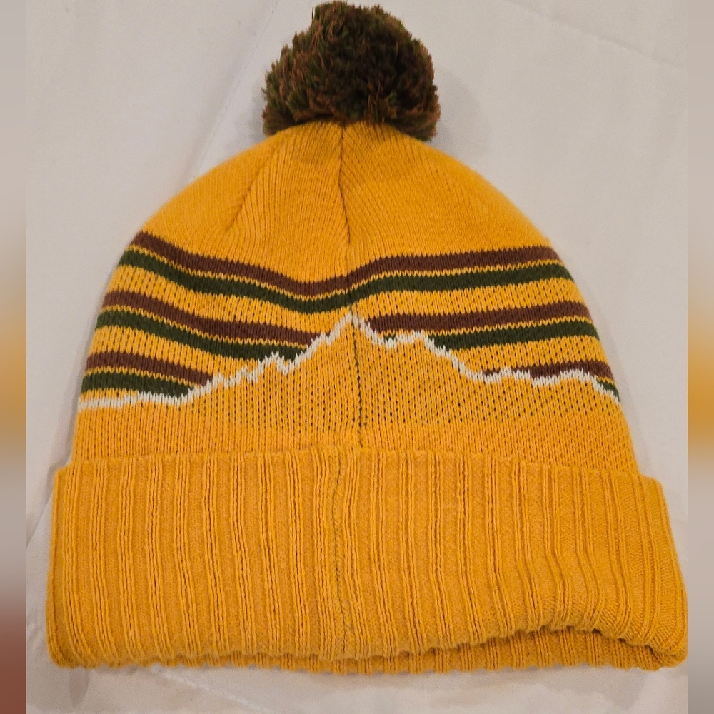 Patagonia beanie